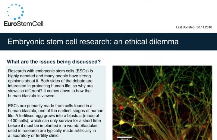 articles against embryonic stem cell research